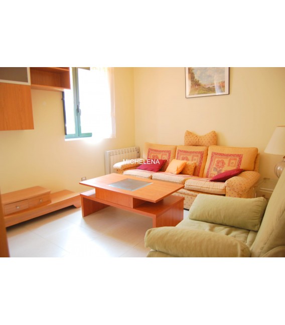 APARTAMENTO AMUEBLADO EN ALQUILER  PLAZA HERRERIA PONTEVEDRA