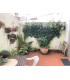 VENTA PISO ZONA ARZOBISPO MALVAR PONTEVEDRA