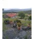 CASA EN VENTA ZONA XUSTANS PONTECALDELAS PONTEVEDRA